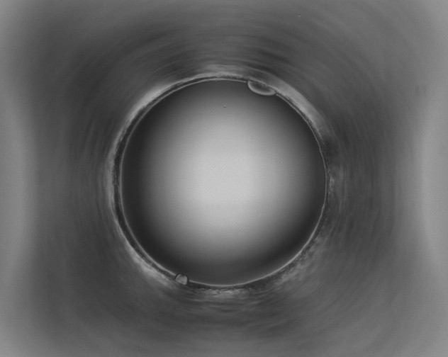 X0000113261143200909101453