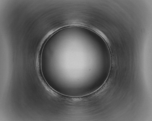 X0000113261144200909101454