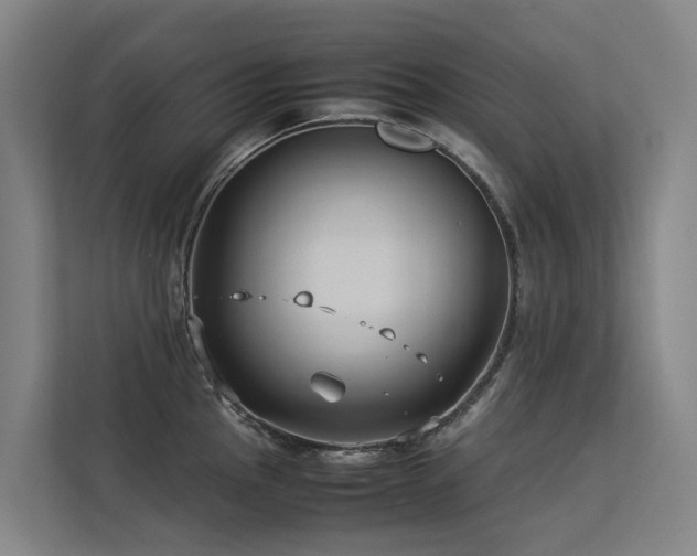 X0000113261145200909101454