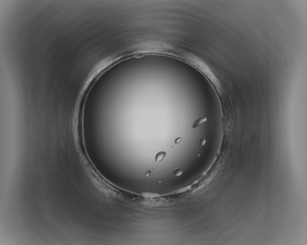 X0000113261146200909101454