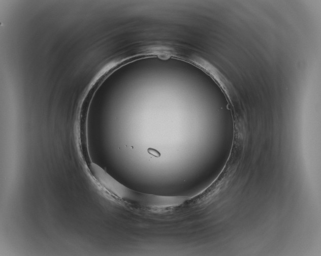 X0000113261147200909101454