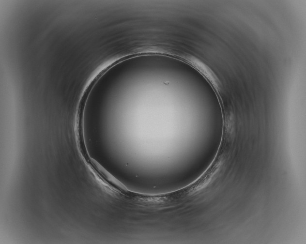 X0000113261149200909101454