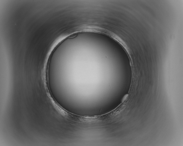 X0000113261152200909101454