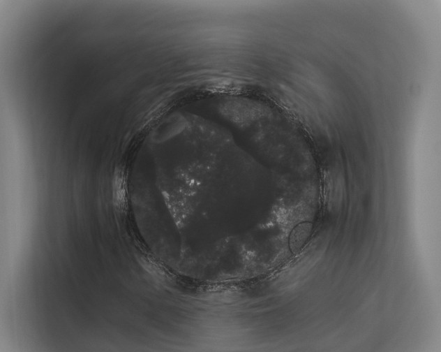 X0000113261154200909101453