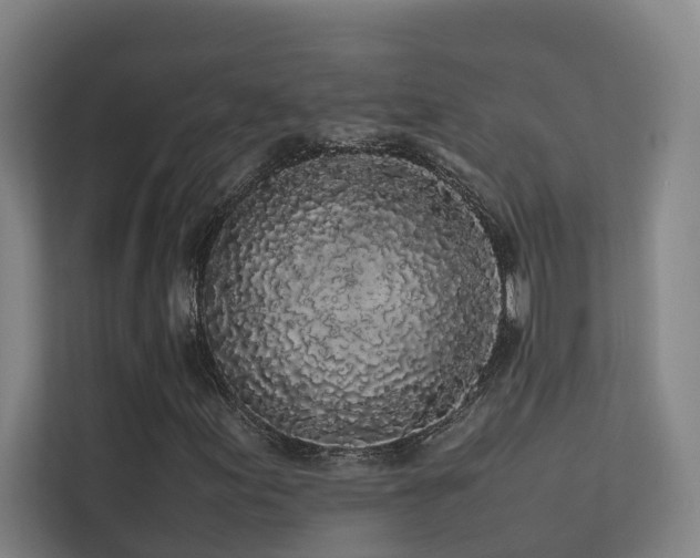 X0000113261155200909101453