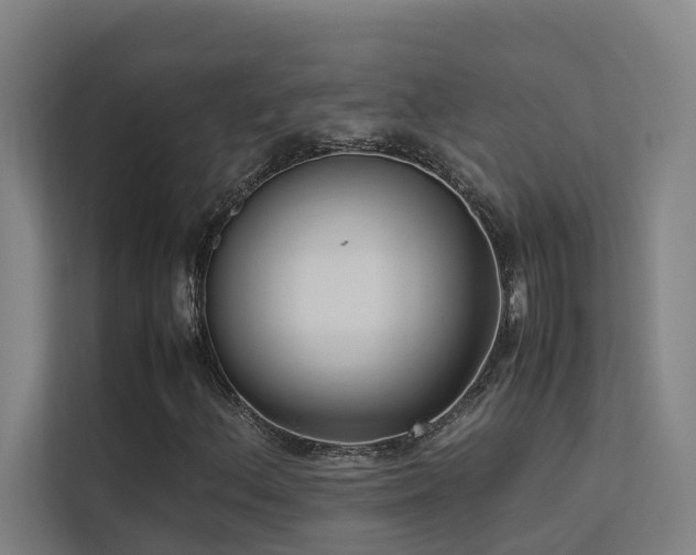 X0000113261156200909101453