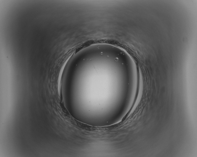 X0000113261157200909101453