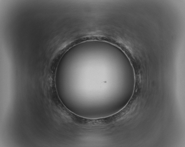 X0000113261159200909101453