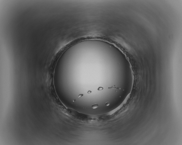 X0000113261160200909101453