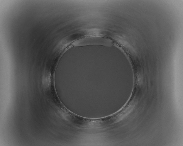 X0000113261161200909101453