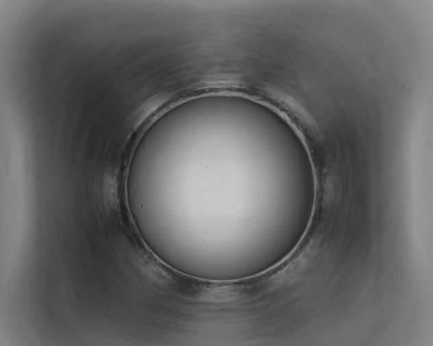 X0000113261162200909101453