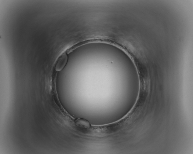 X0000113261165200909101453