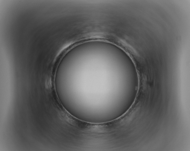 X0000113261166200909101453