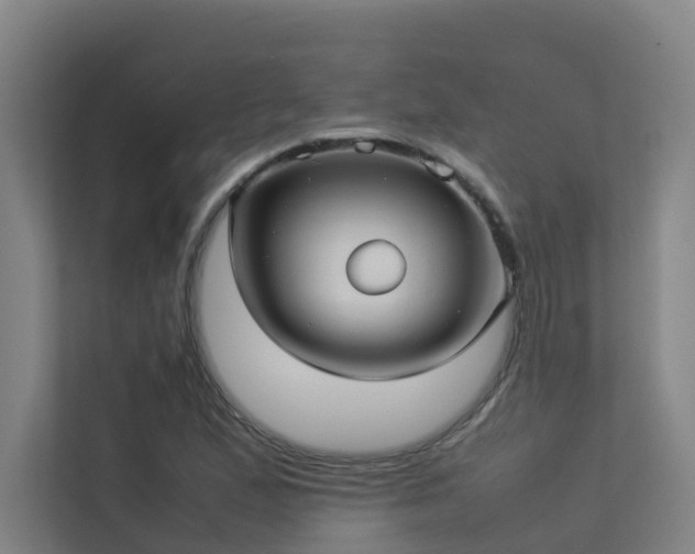 X0000113261167200909101453