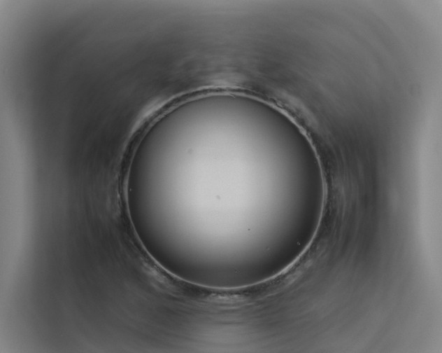 X0000113261168200909101453