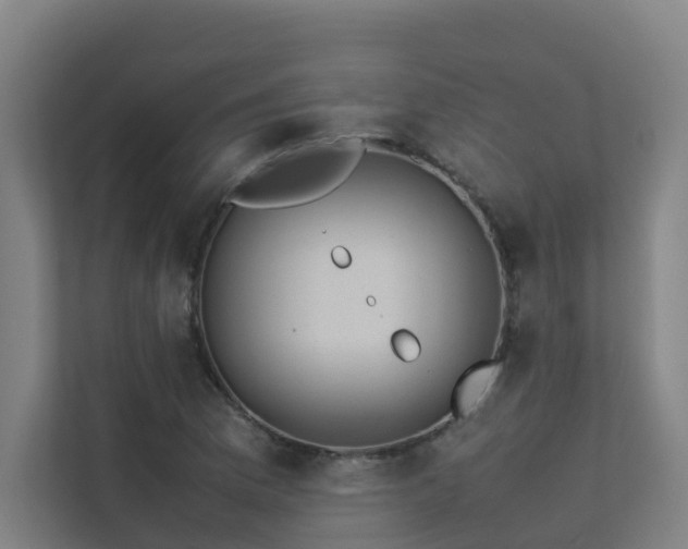 X0000113261169200909101453