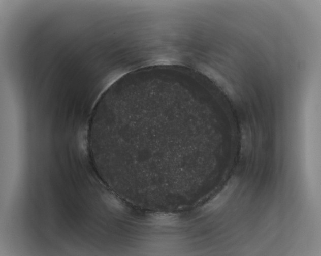 X0000113261170200909101453