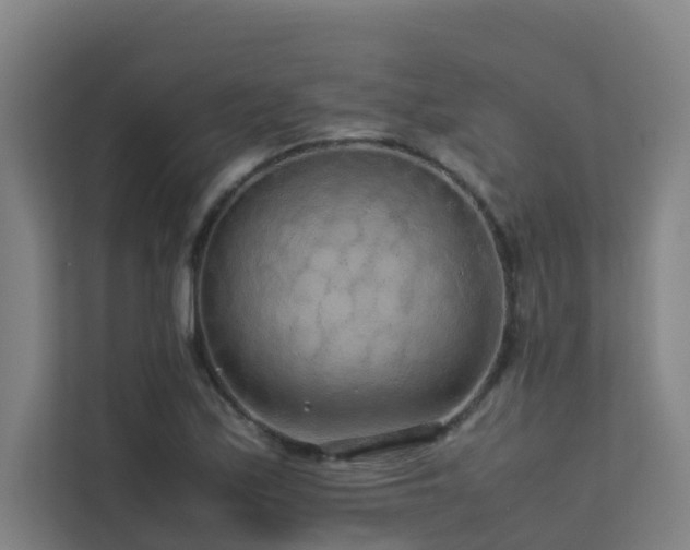 X0000113261171200909101453