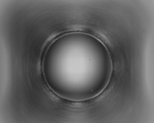 X0000113261172200909101453