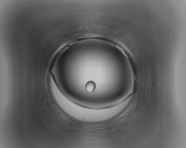 X0000113261173200909101453