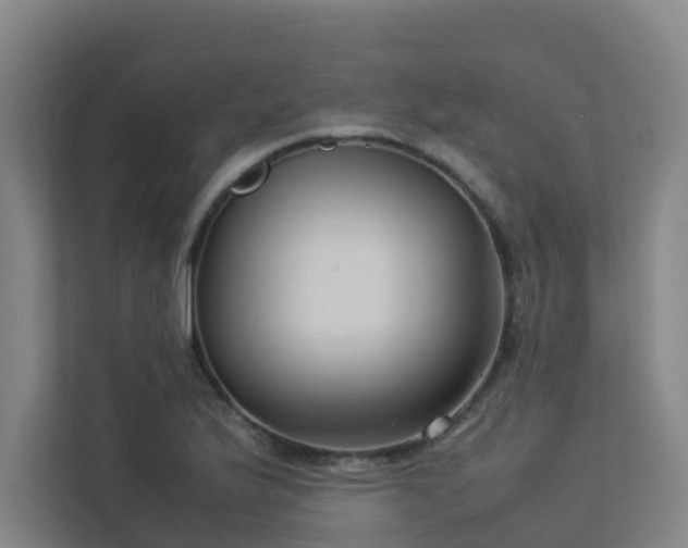 X0000113261175200909101453