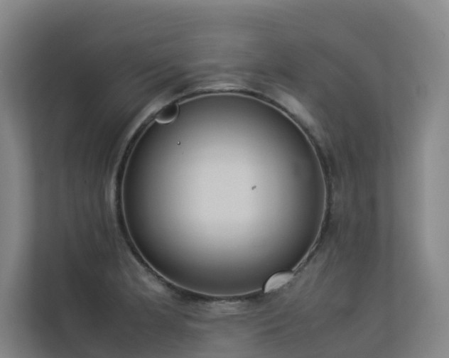 X0000113261181200909101453