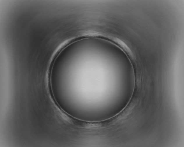 X0000113261183200909101453