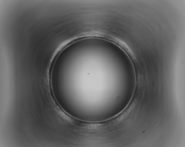 X0000113261184200909101453