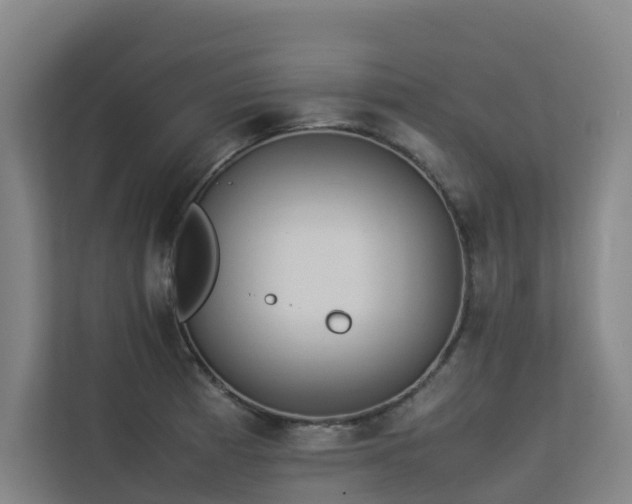 X0000113261185200909101453