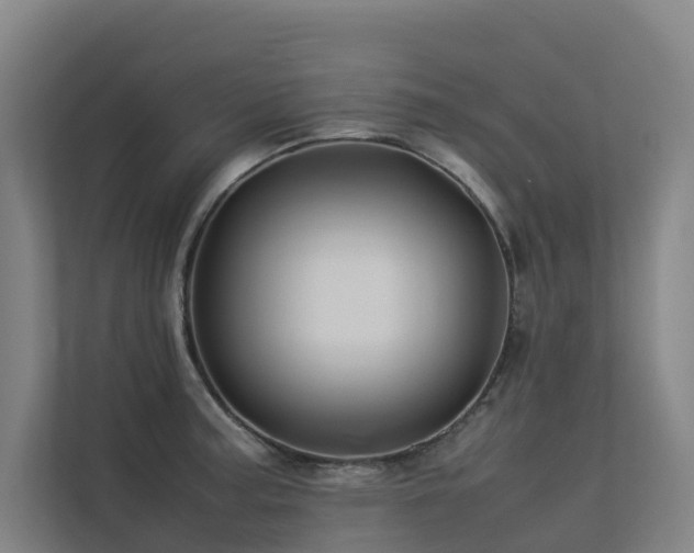 X0000113261187200909101453