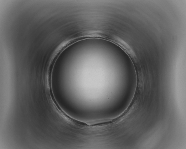 X0000113261188200909101453