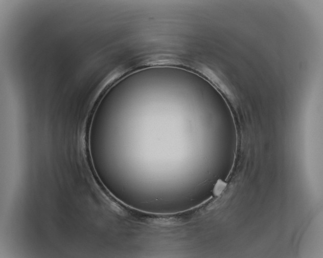 X0000113261189200909101453