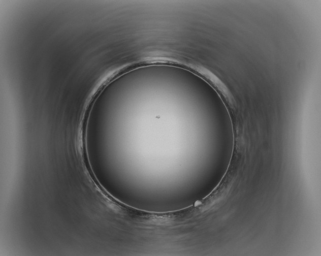 X0000113261191200909101452