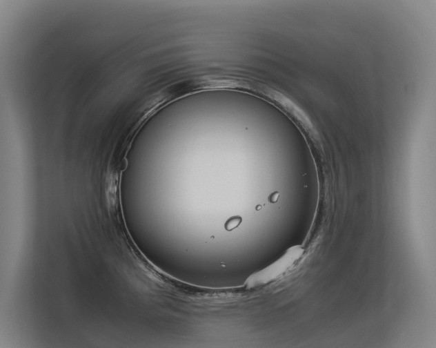 X0000113261193200909101452