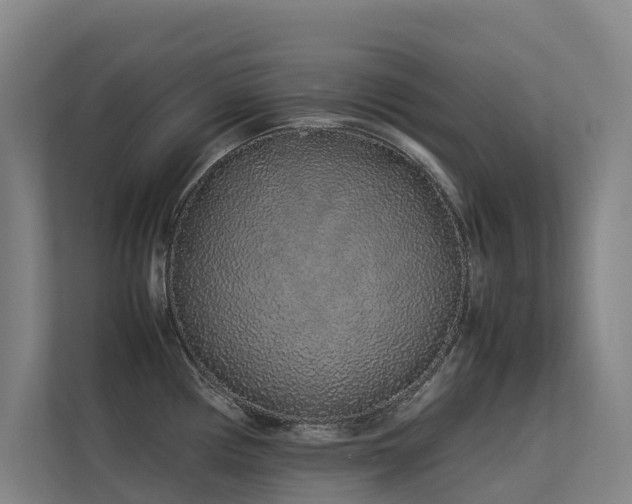 X0000113261194200909101452