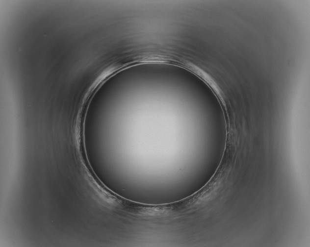 X0000113261195200909101452