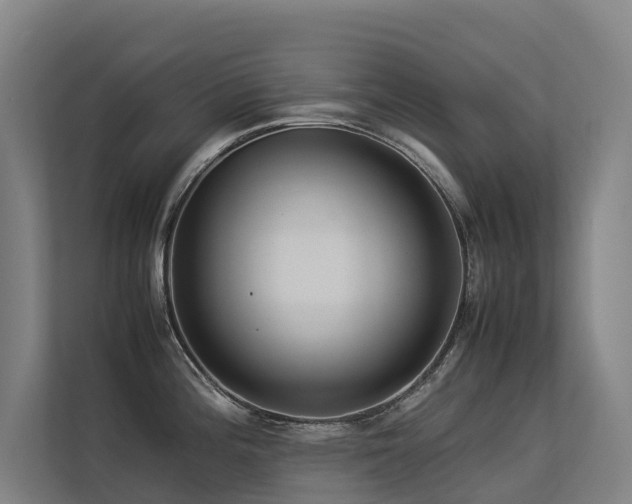 X0000113261196200909101452