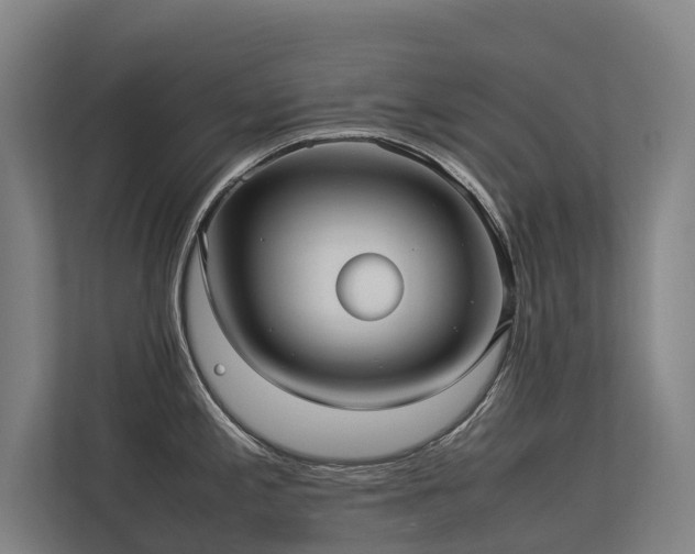 X0000113261197200909101452