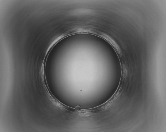 X0000113261198200909101452