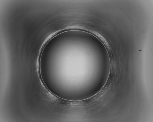 X0000113261199200909101452