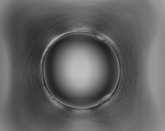 X0000113261200200909101452