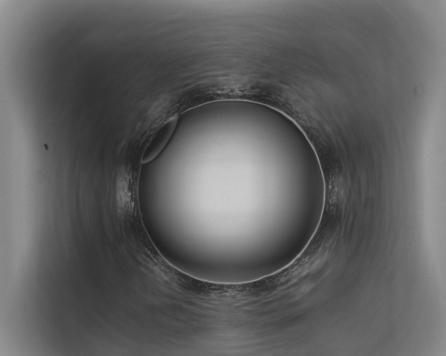 X0000113261202200909101452