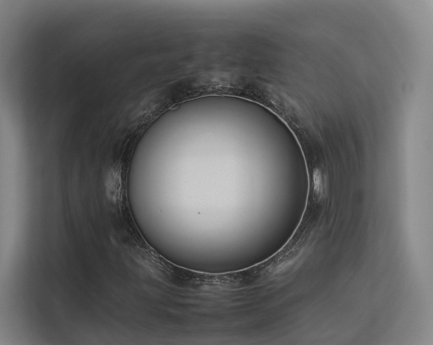 X0000113261203200909101452