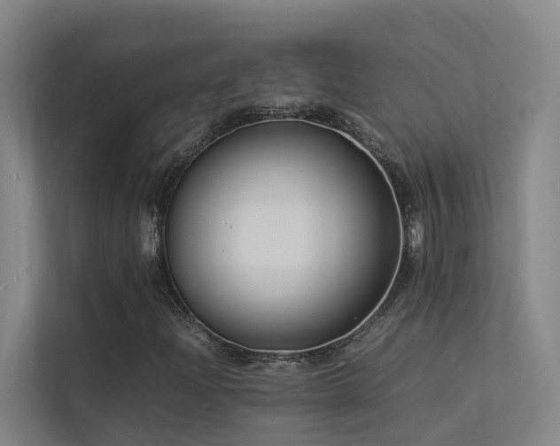 X0000113261204200909101452