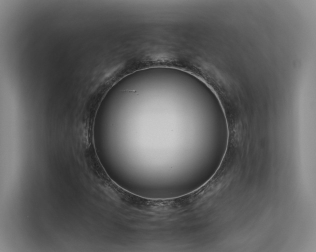 X0000113261205200909101452