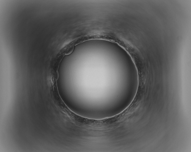 X0000113261206200909101452