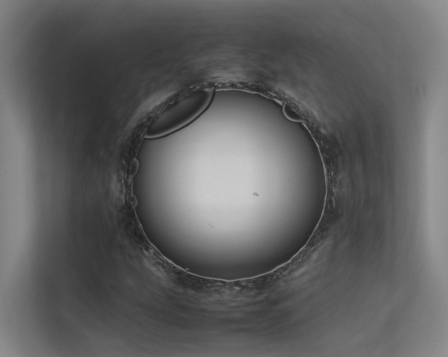 X0000113261207200909101452