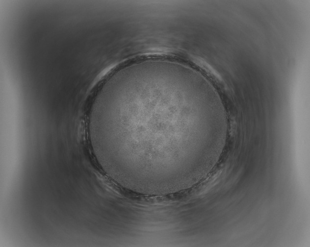 X0000113261208200909101452