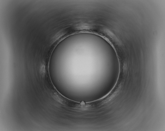 X0000113261209200909101452