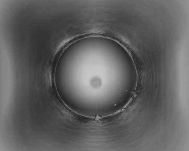 X0000113261214200909101452